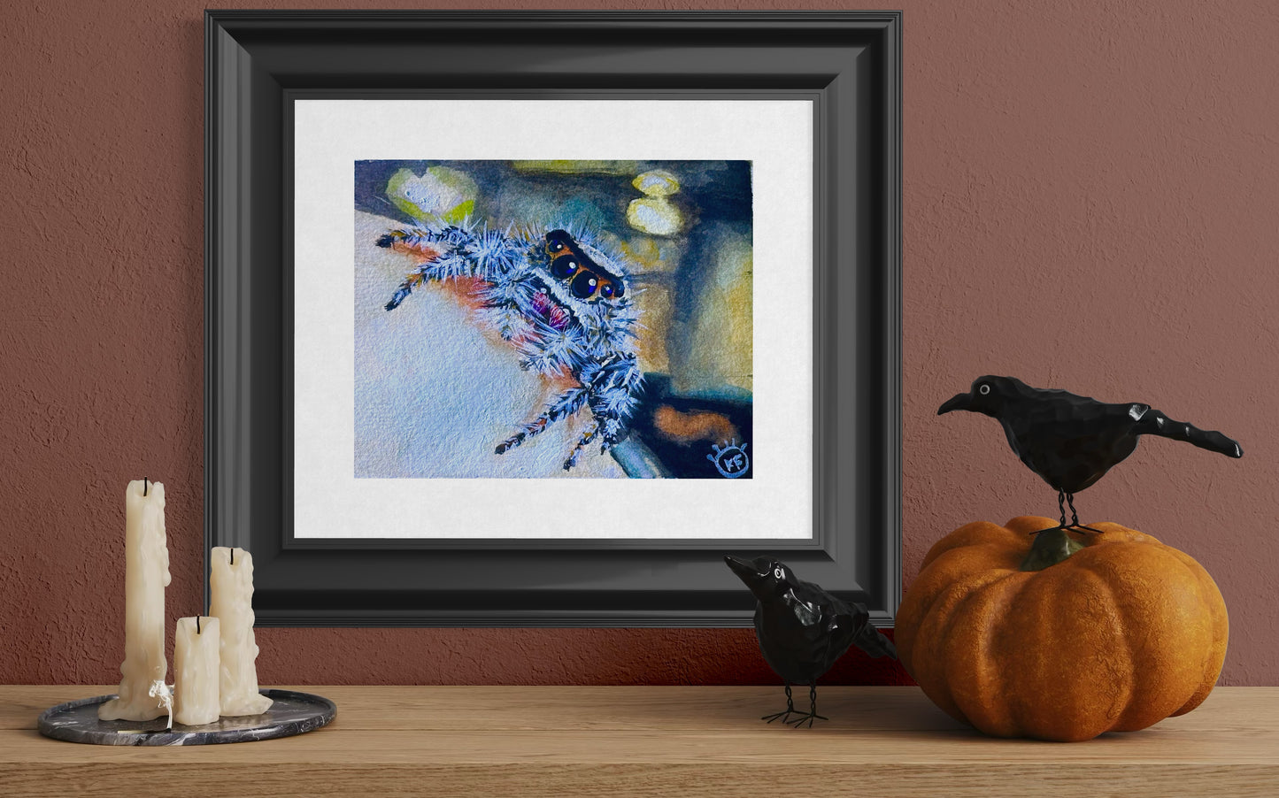 Lady Vincent - Jumping Spider