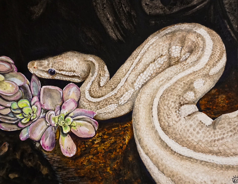 Alchemy Snake 2